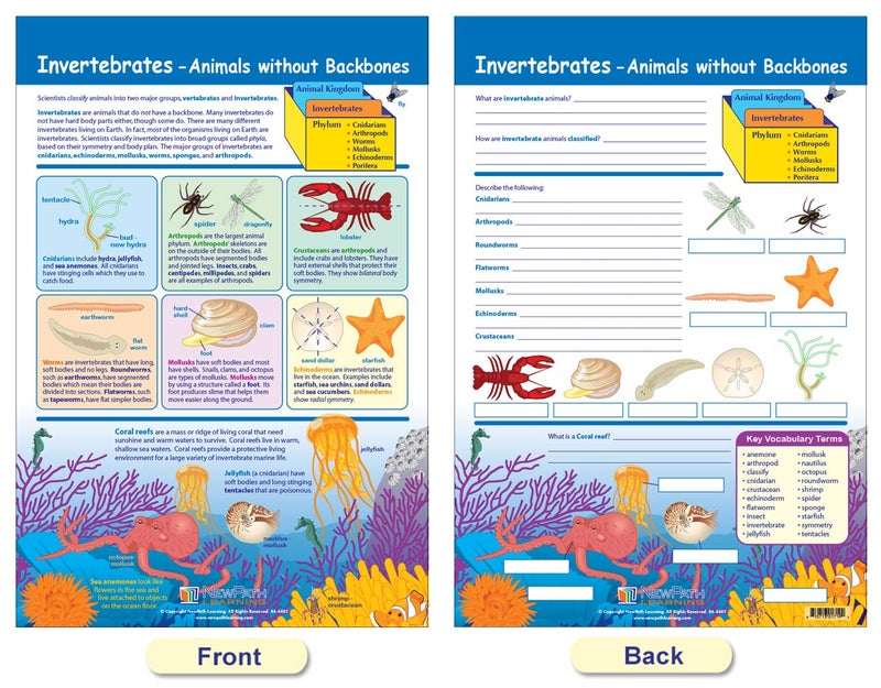 New Path Learning NewPath Learning - 94-3502 The Six Kingdoms Bulletin Board Charts, 12 x 18 Inch, Full Color, Set of 5 - Image 5